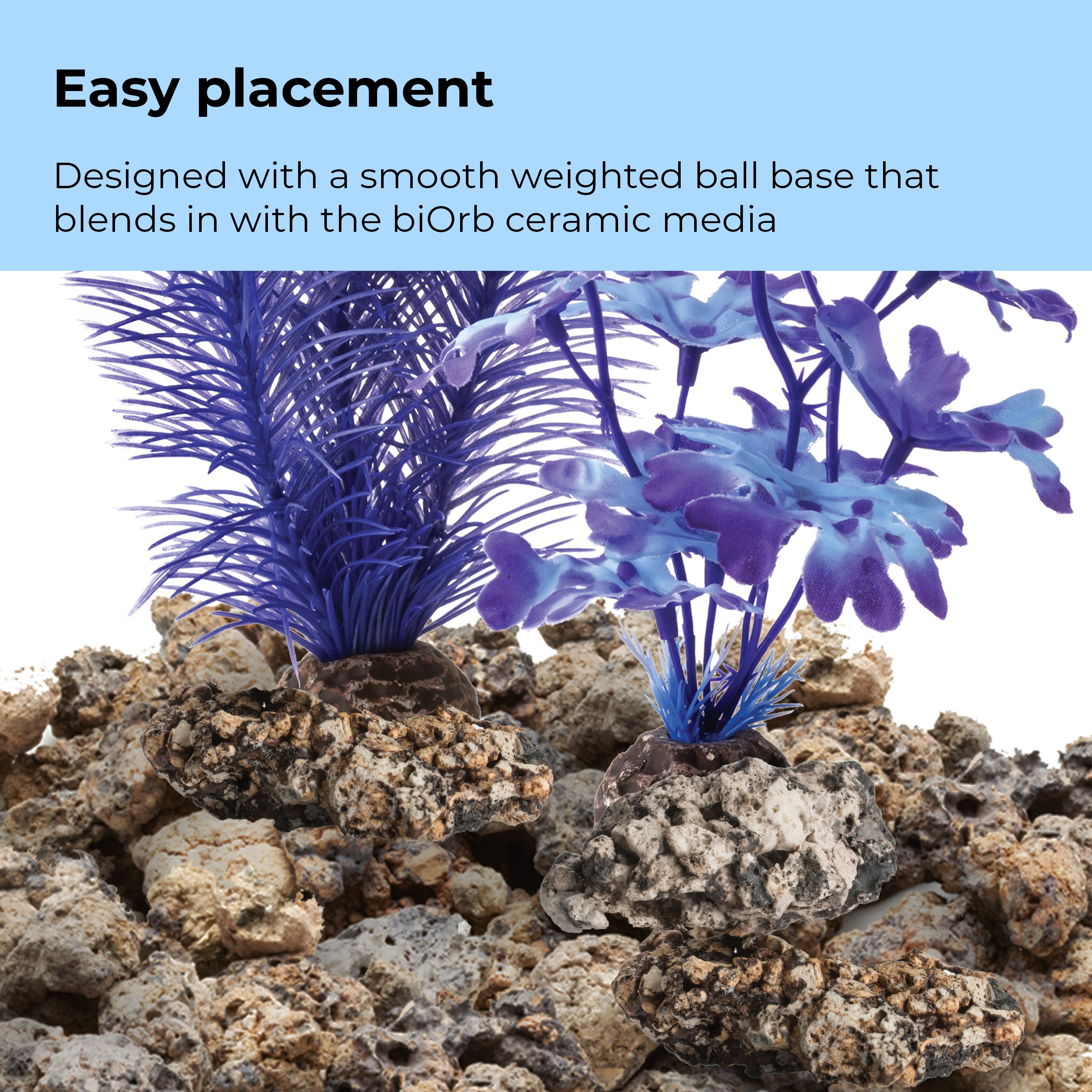 Medium Kelp Plant Set - Easy placement