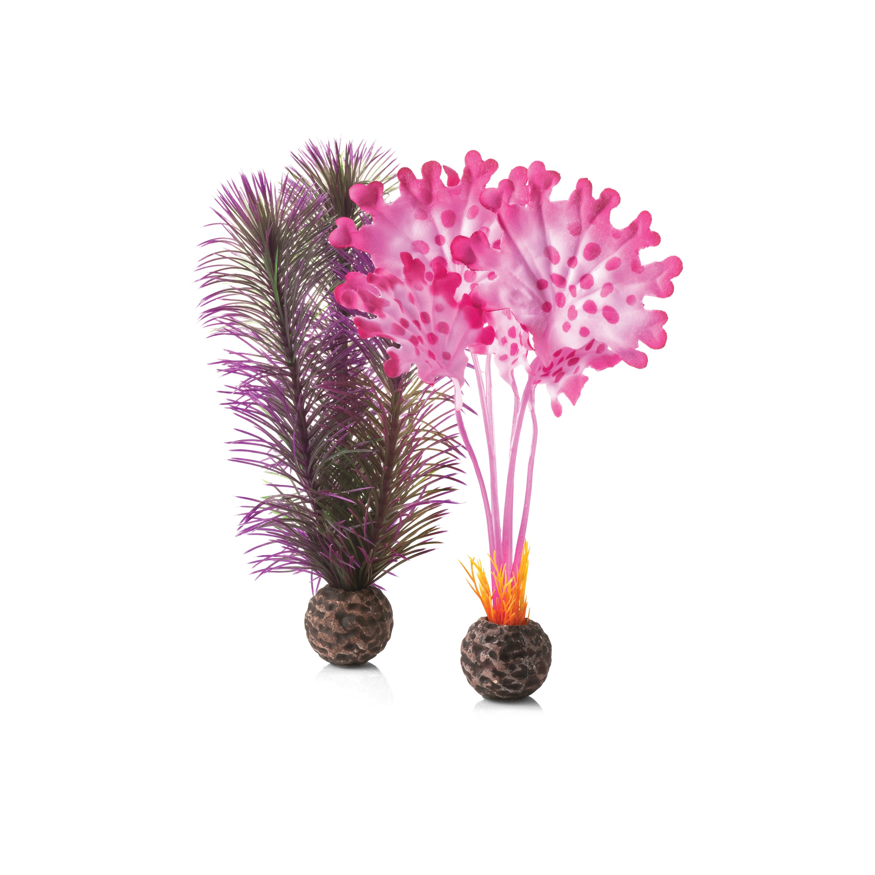 Small Kelp Plant Set - Pink