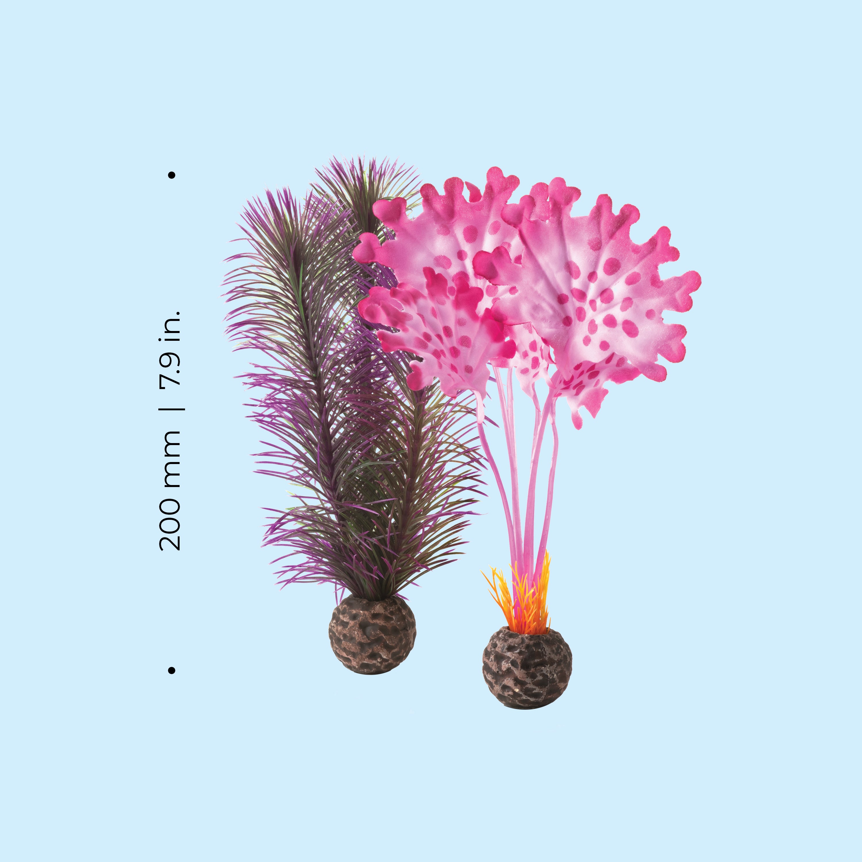 Small Kelp Plant Set - Dimensions