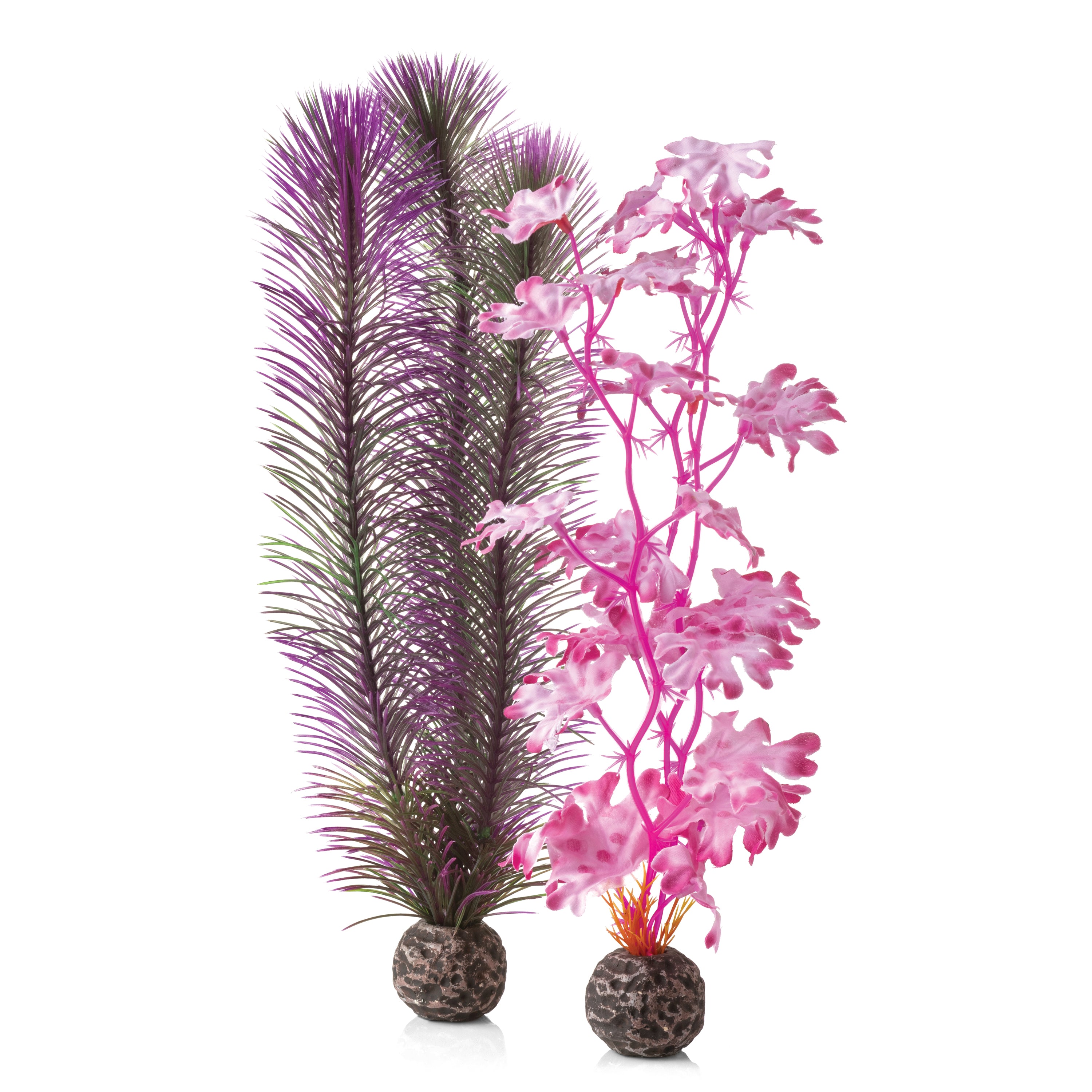 Medium Kelp Plant Set - Pink