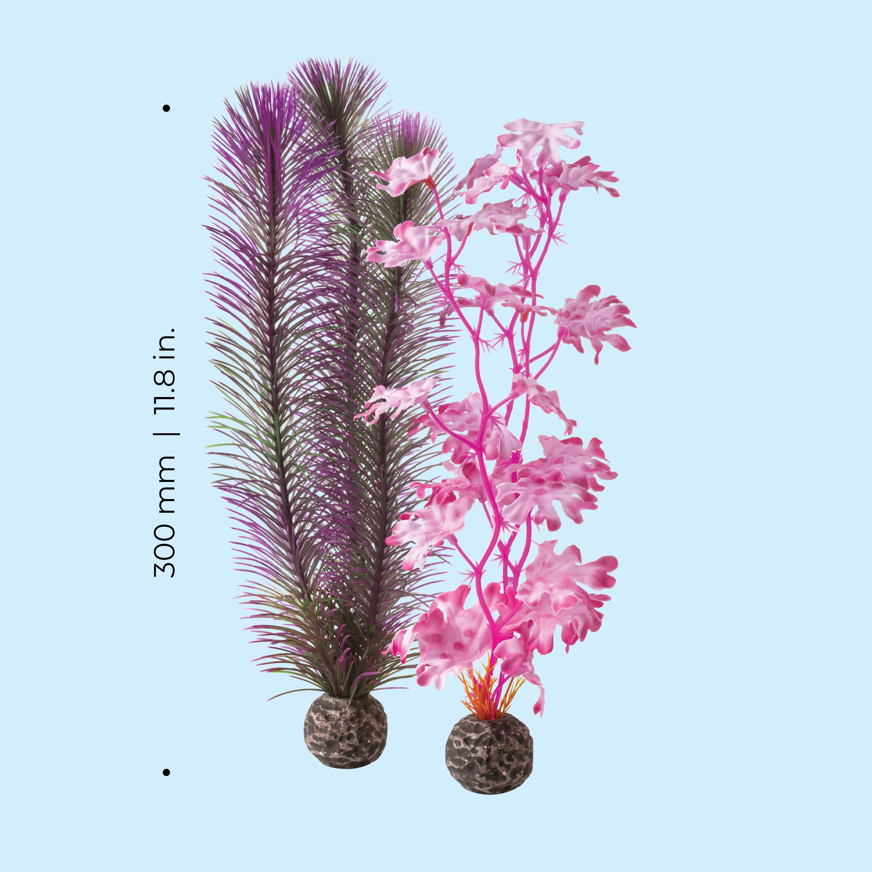 Medium Kelp Plant Set - Dimensions