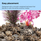Medium Kelp Plant Set - Easy placement