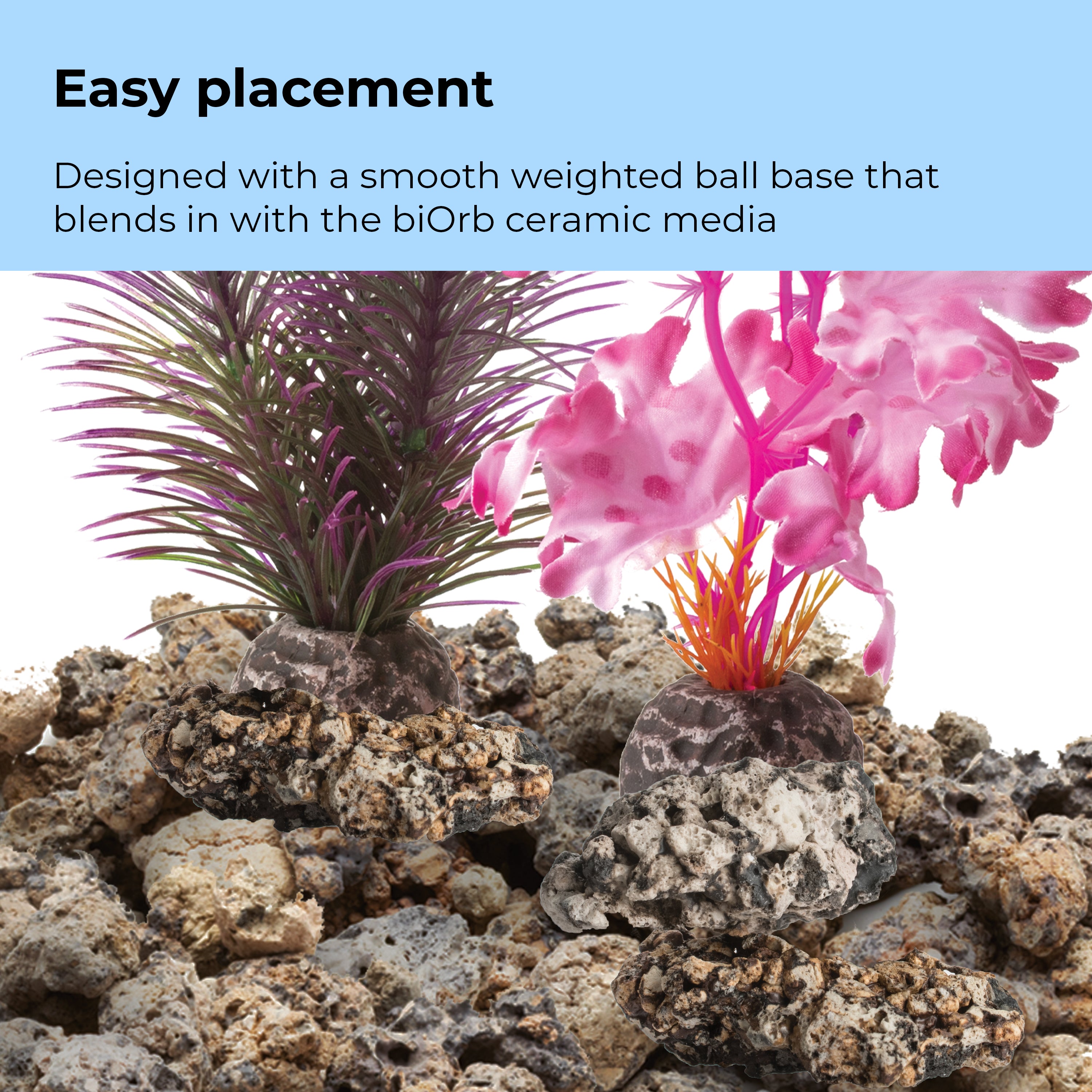 Medium Kelp Plant Set - Easy placement