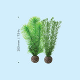 Green Feather Fern Plant Set, small - Dimensions