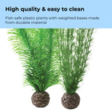 Green Feather Fern Plant Set, small - High quality & easy to clean