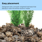 Green Feather Fern Plant Set, small - Easy placement