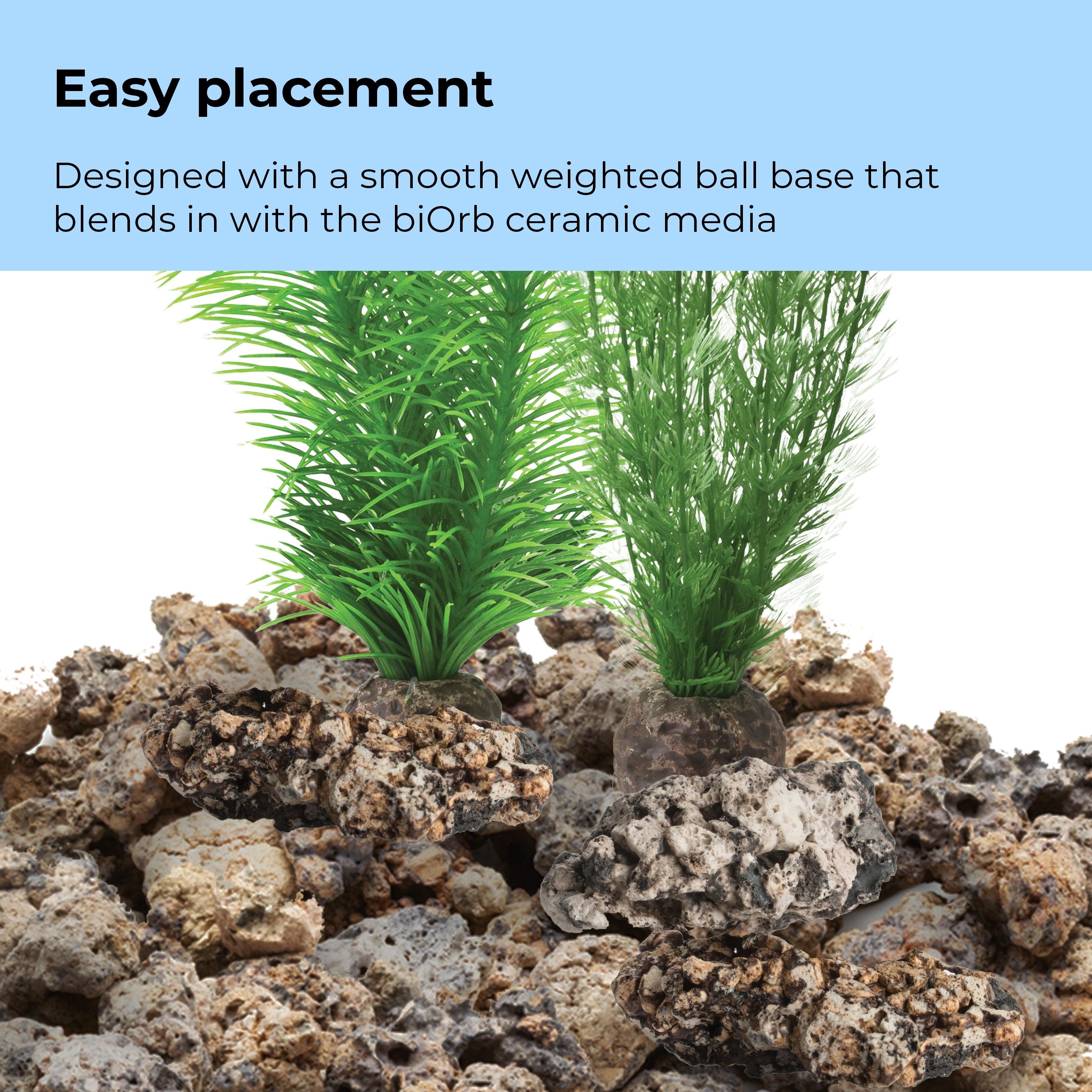 Green Feather Fern Plant Set, small - Easy placement