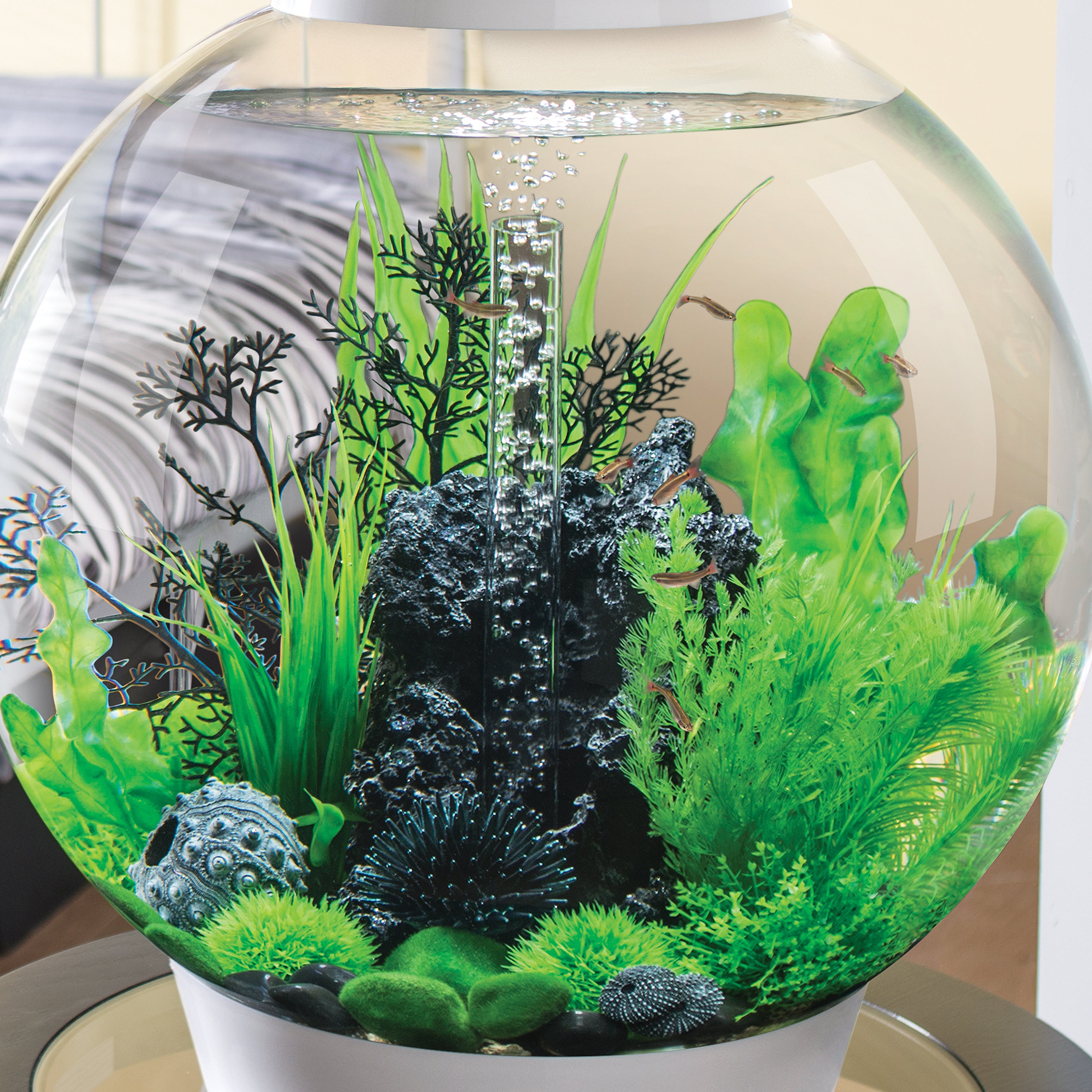 Green Feather Fern Plant Set, small - In use