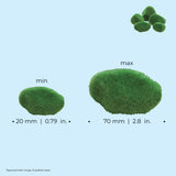 Moss Pebbles Set - Dimensions