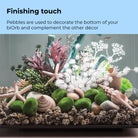 Moss Pebbles Set - Finishing touch