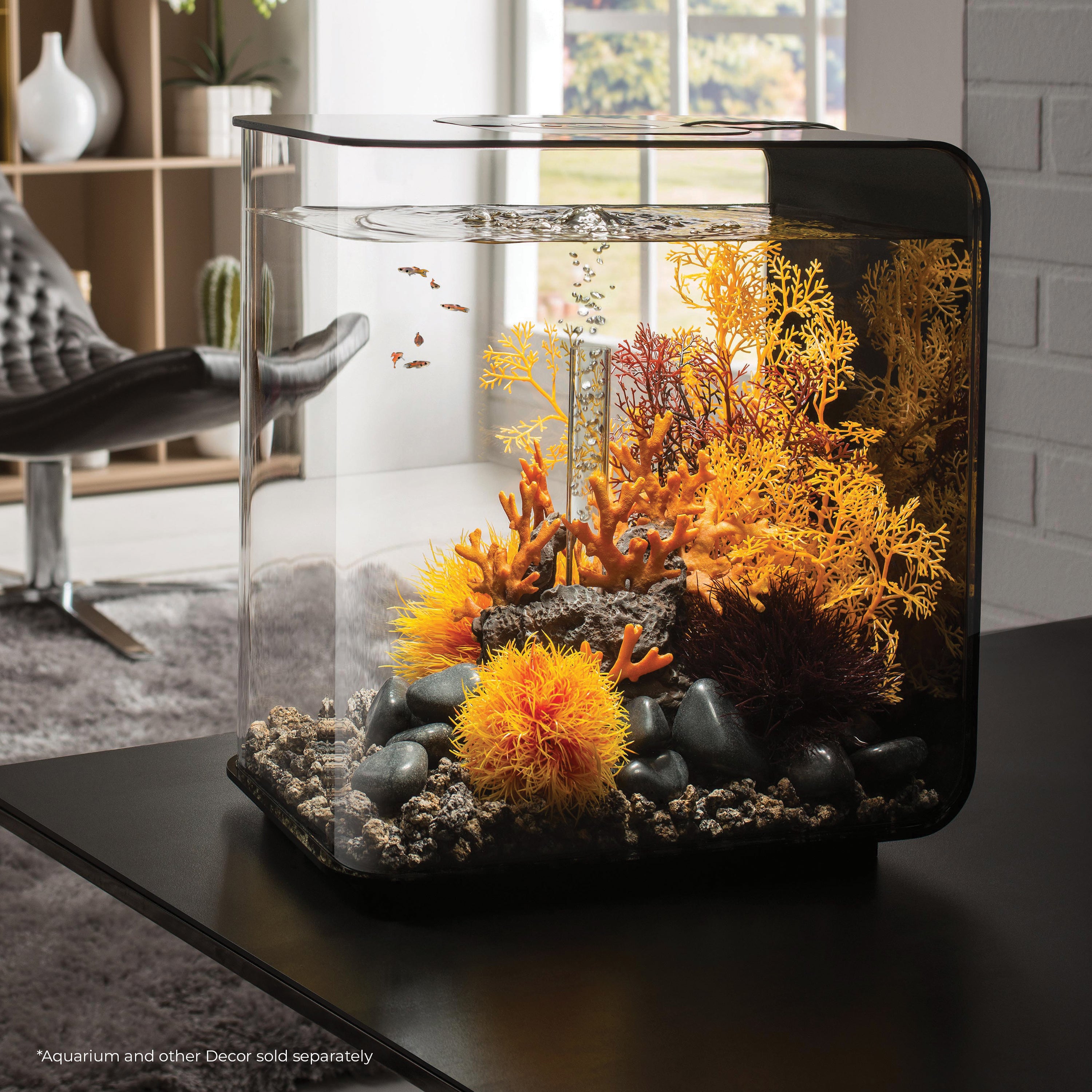 Sea Lily - Orange In use