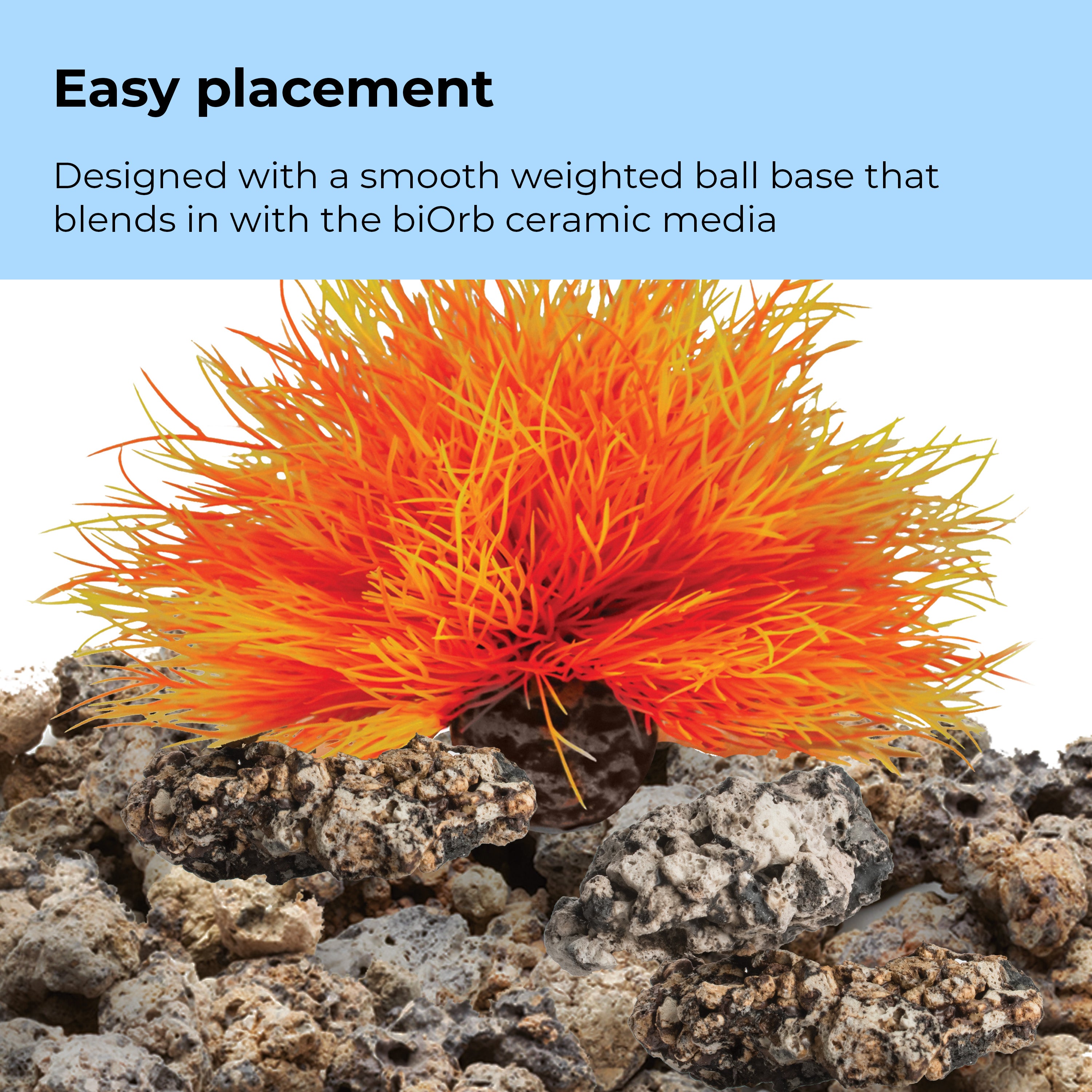 Sea Lily - Easy placement