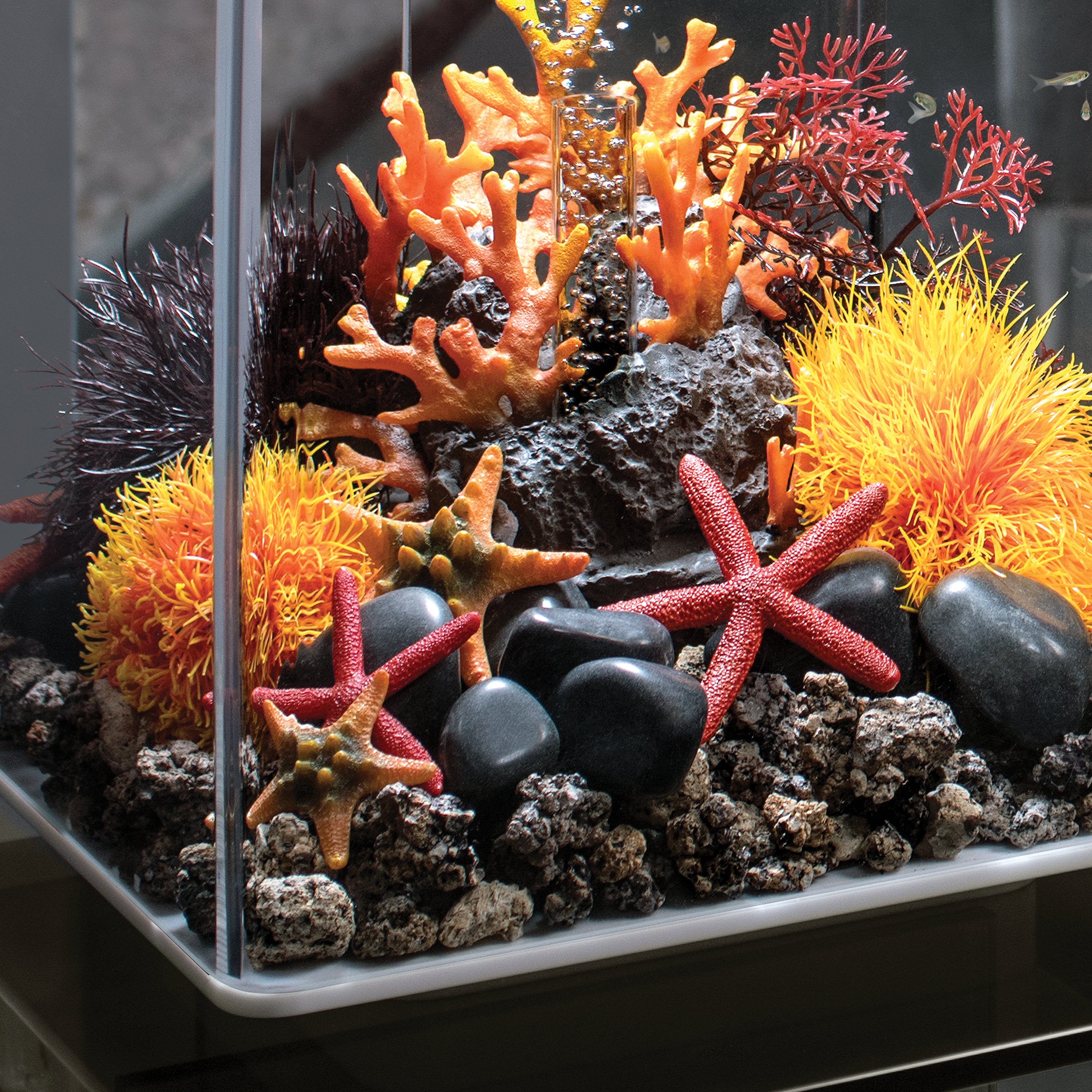 Sea Lily - Orange In use