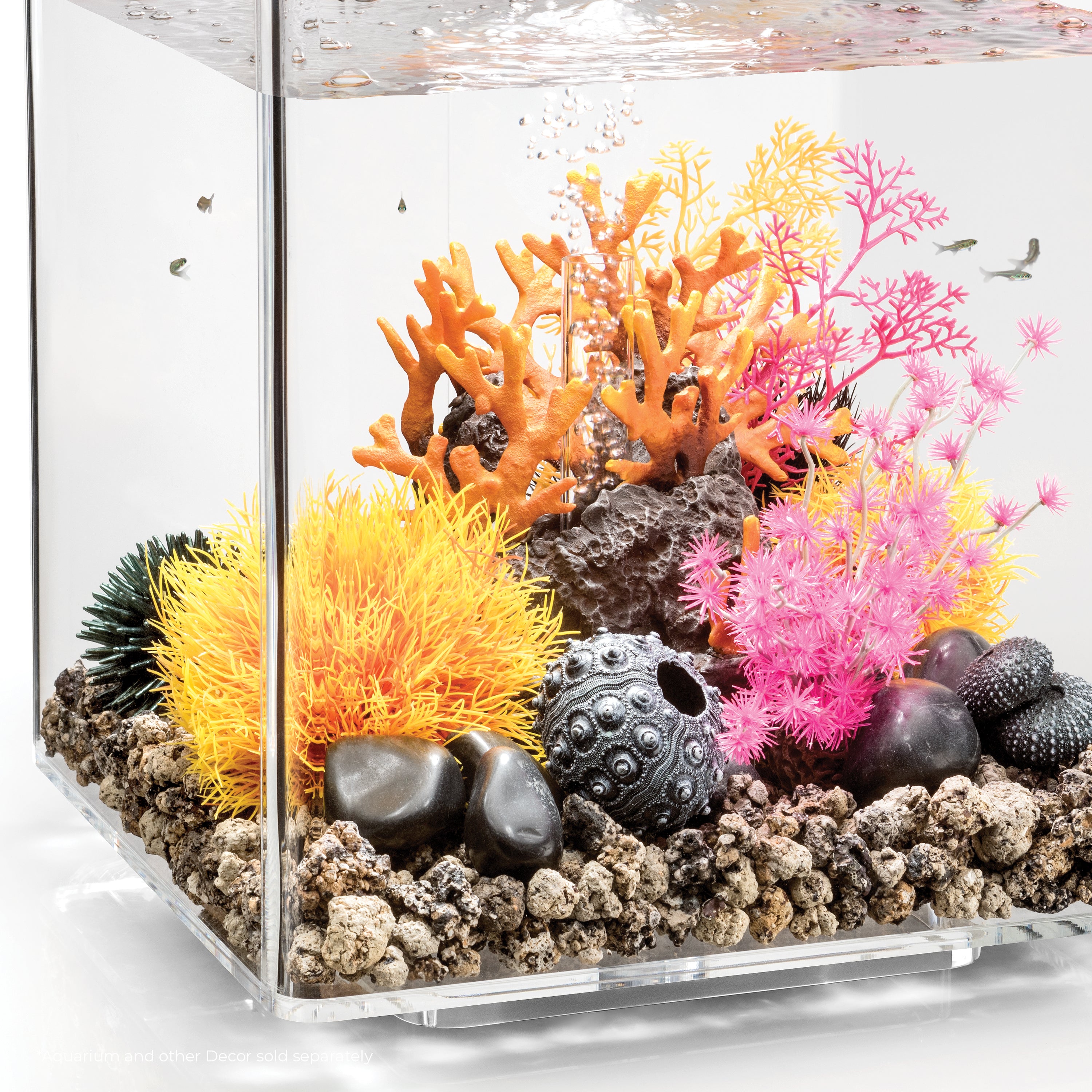 Sea Lily - Orange In use