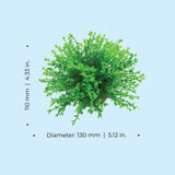 Green Flower Ball - Dimensions