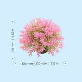 Flower Ball - Dimensions