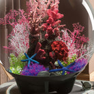 Flower Ball - Purple In use