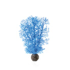 Small Sea Fan - Blue