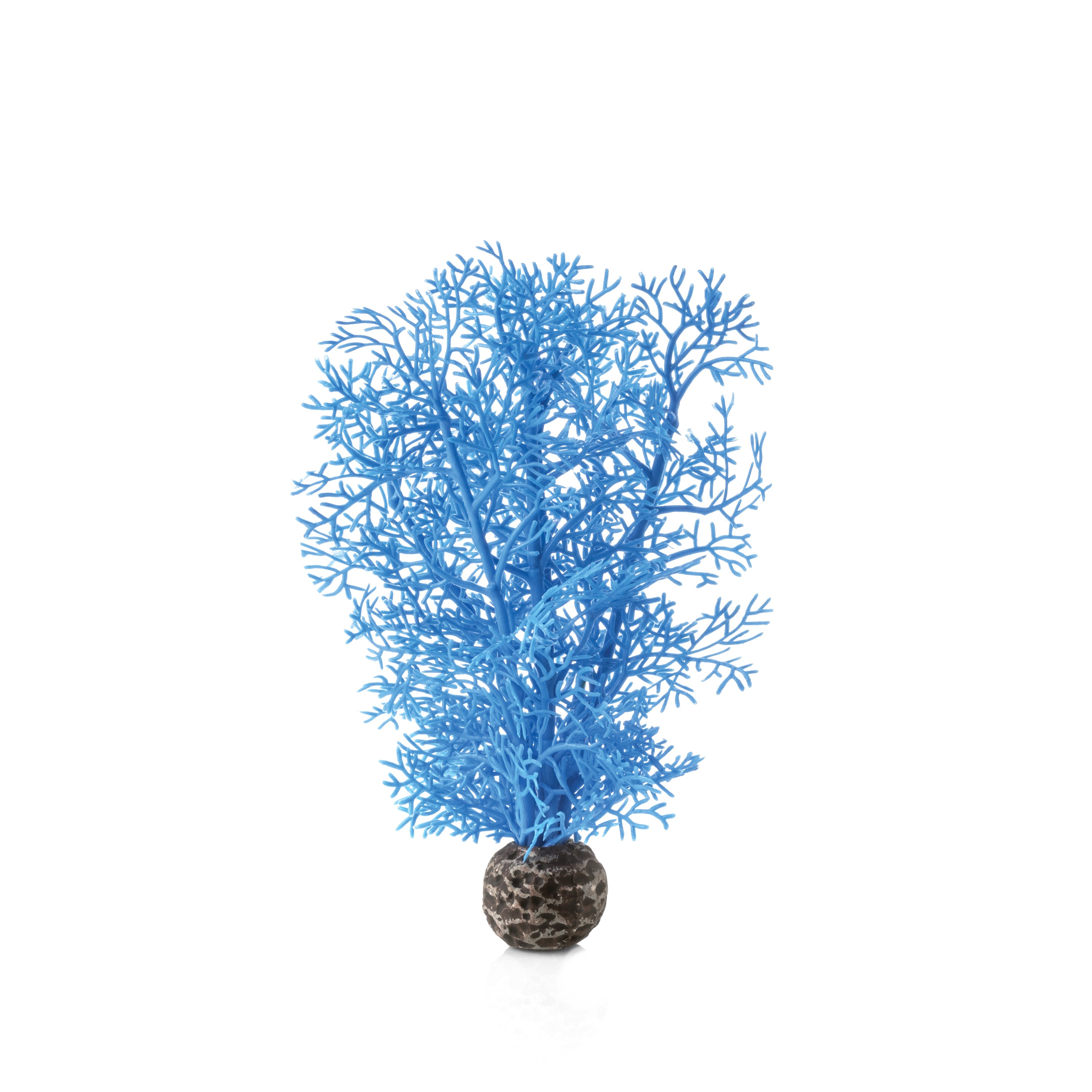 Small Sea Fan - Blue
