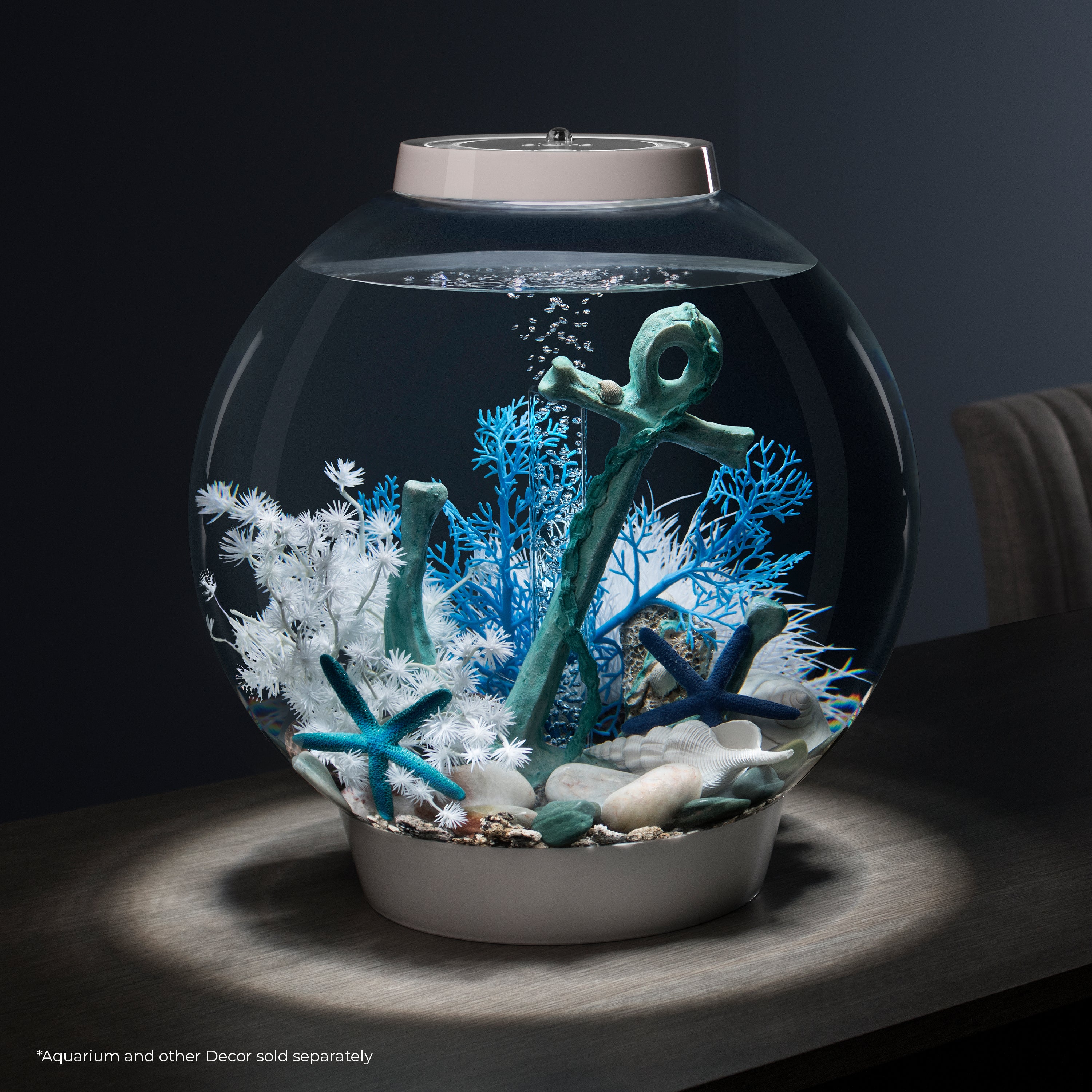 Small Sea Fan - Blue In use