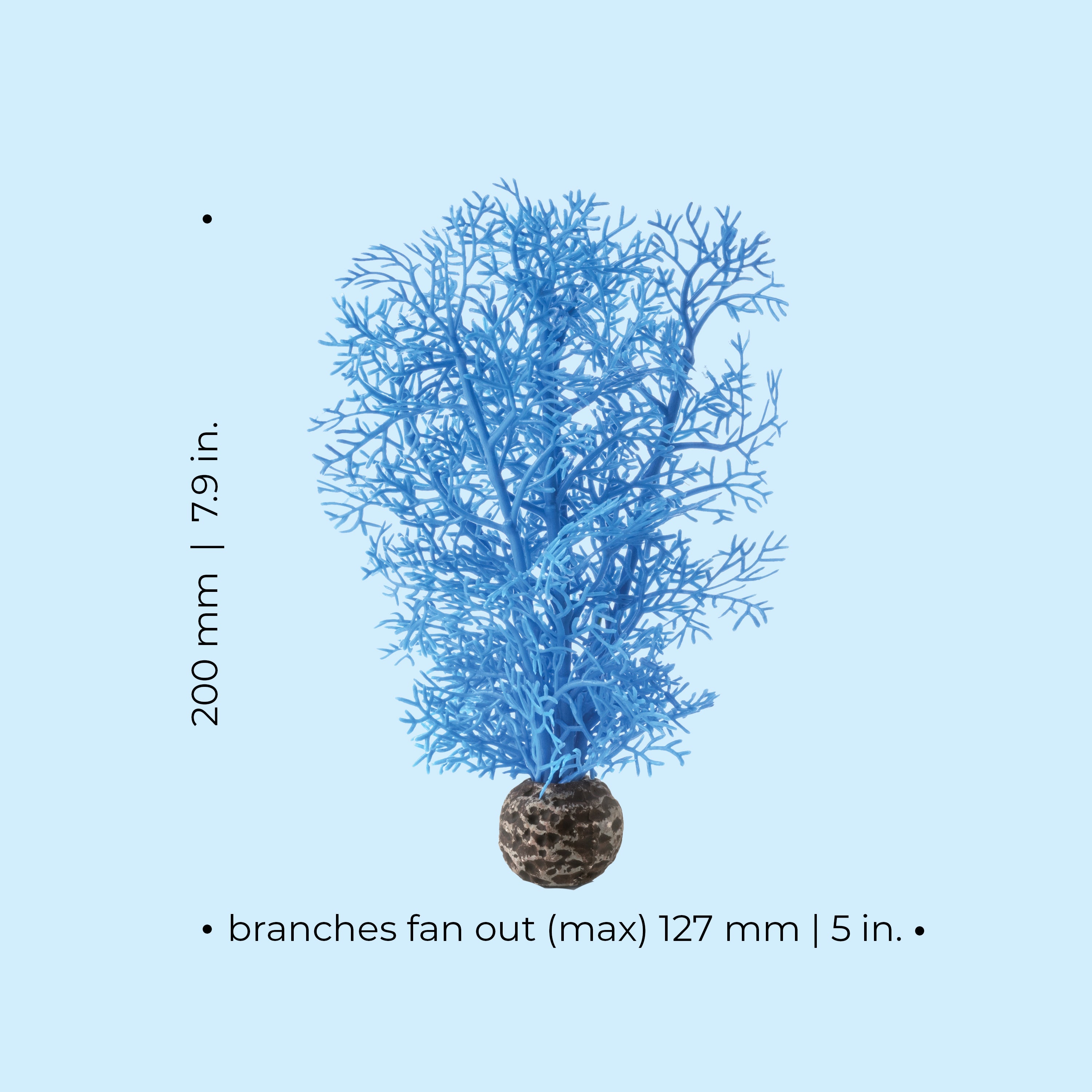 Small Sea Fan - Dimensions