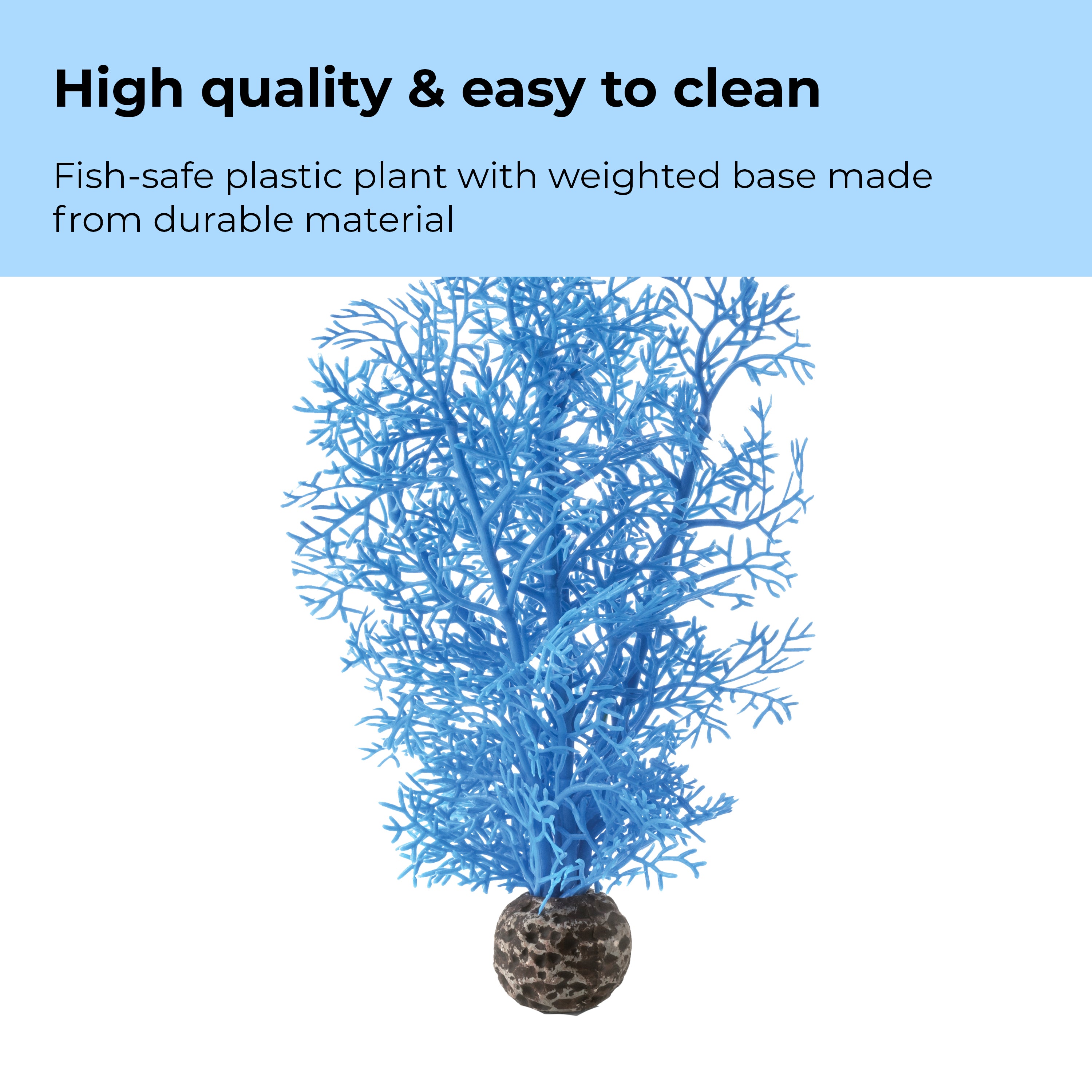 Small Sea Fan - High quality & easy to clean