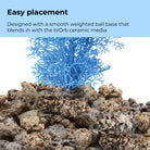 Small Sea Fan - Easy placement