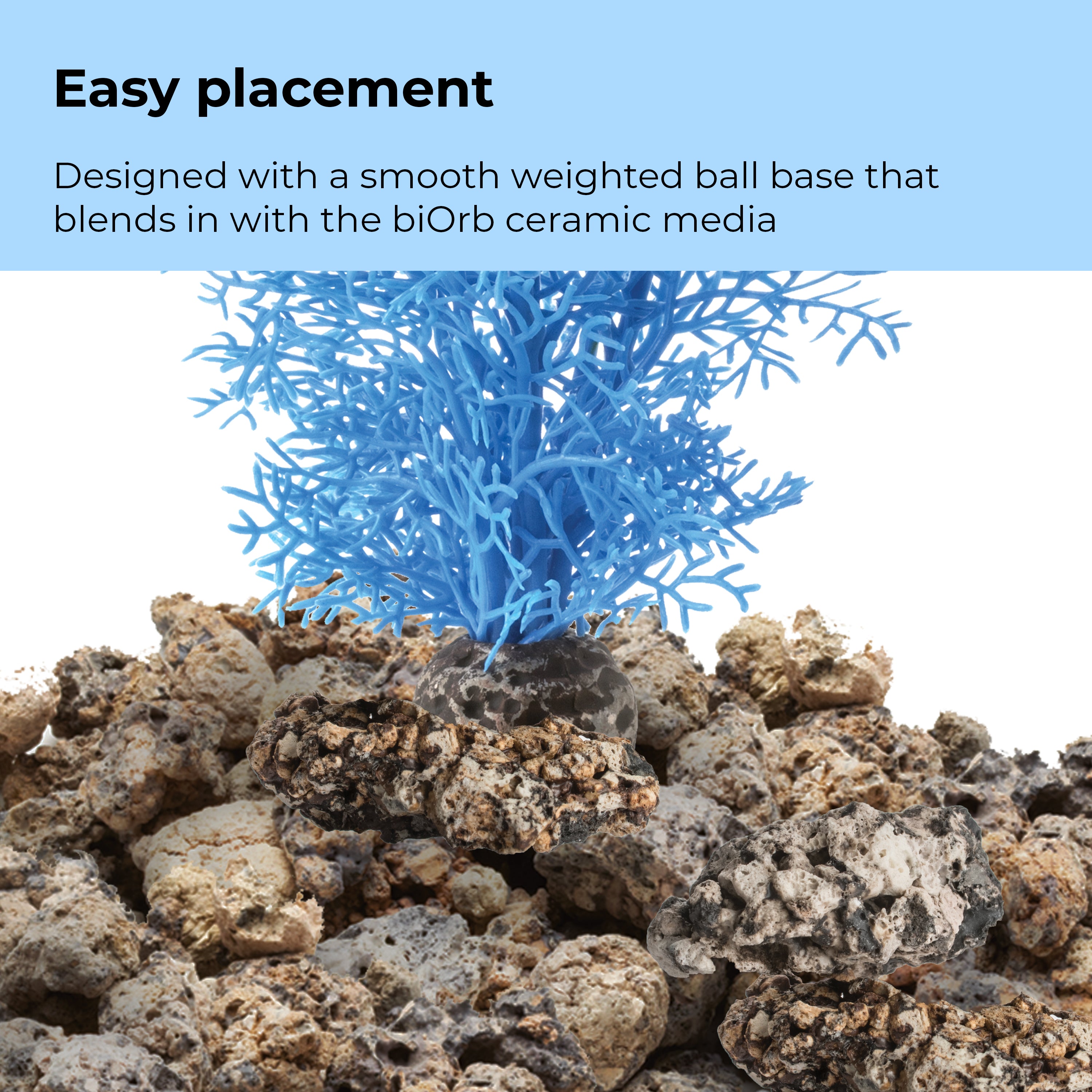 Small Sea Fan - Easy placement