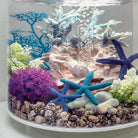 Small Sea Fan - Blue In use