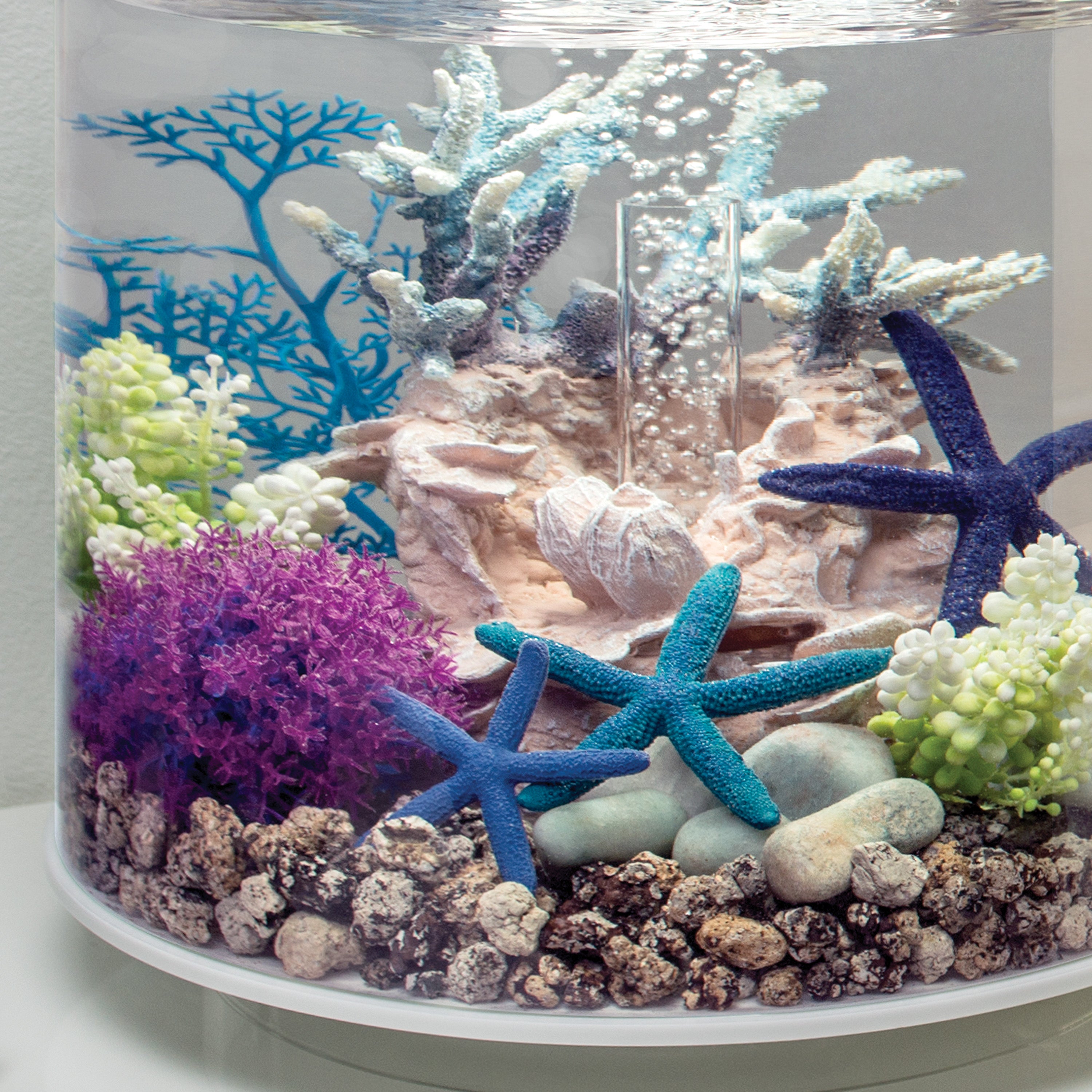 Small Sea Fan - Blue In use