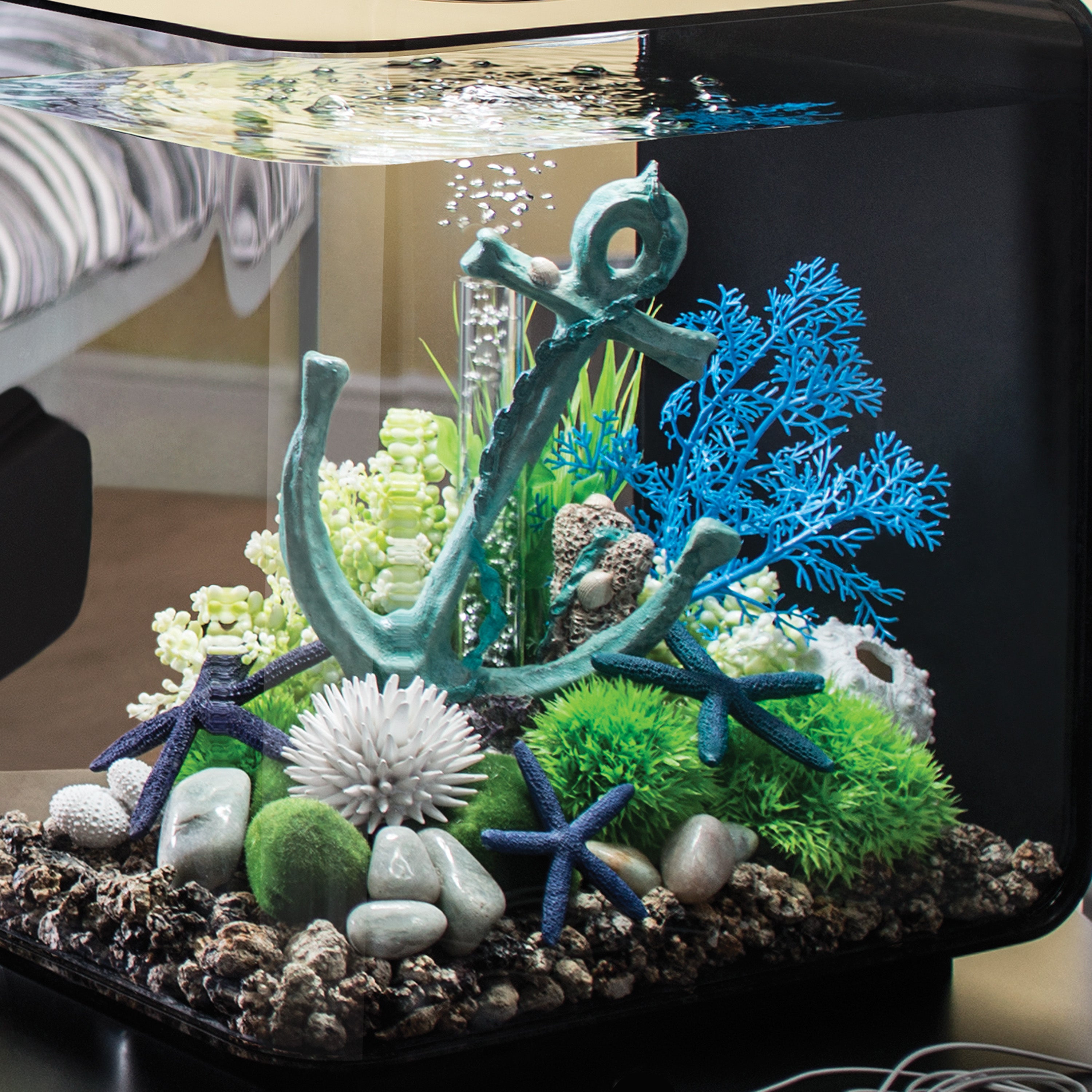 Small Sea Fan - Blue In use
