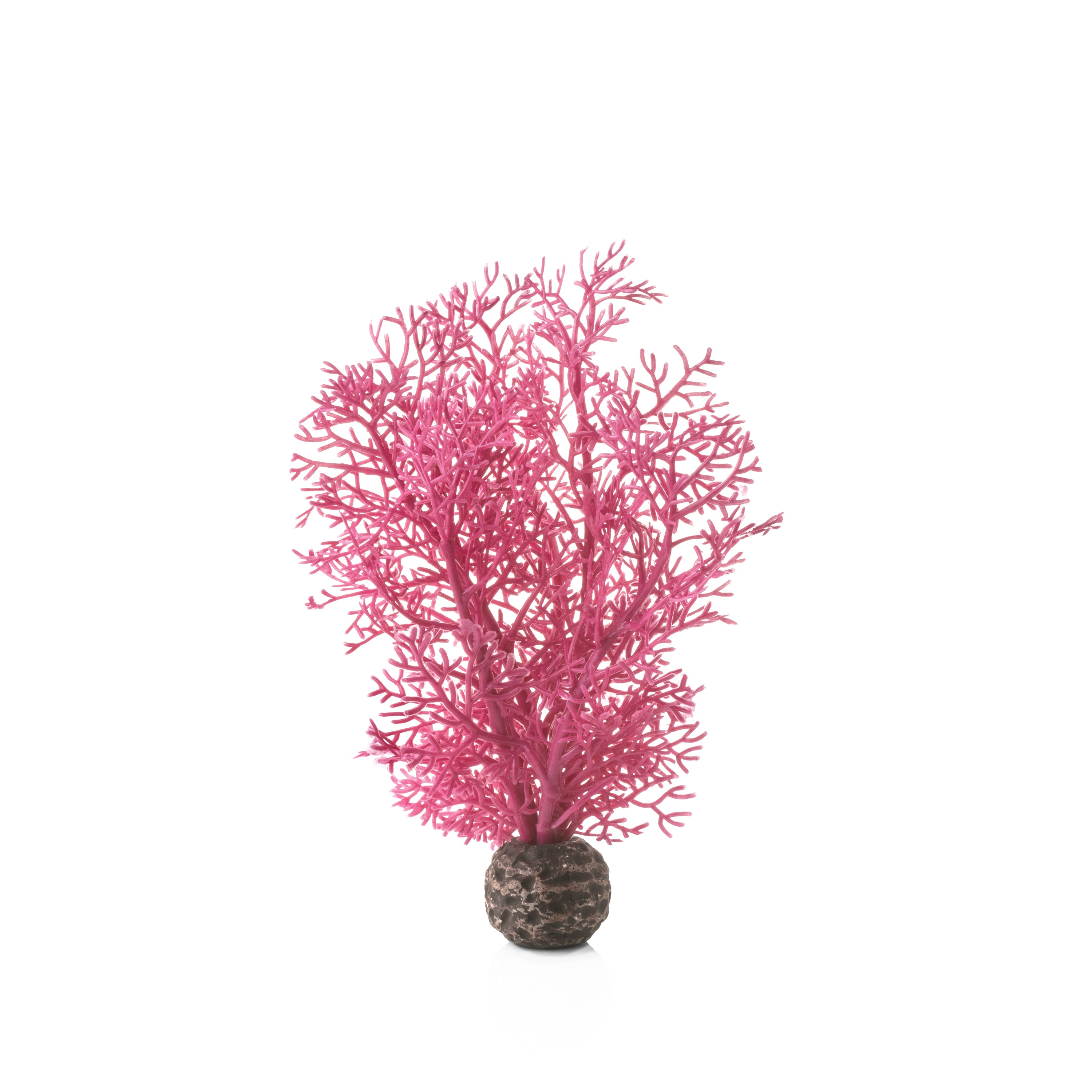 Small Sea Fan - Pink