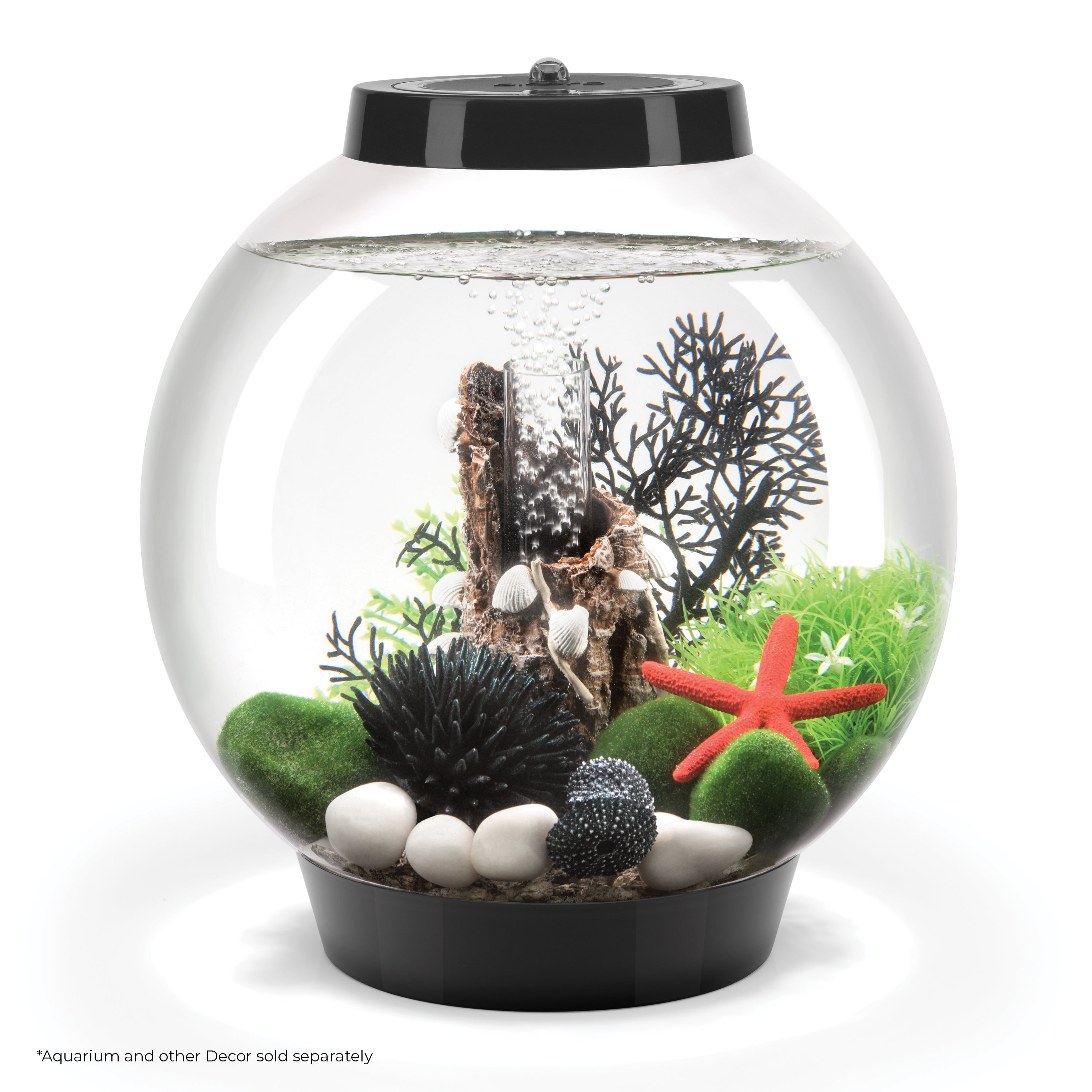 Small Sea Fan - Black In use