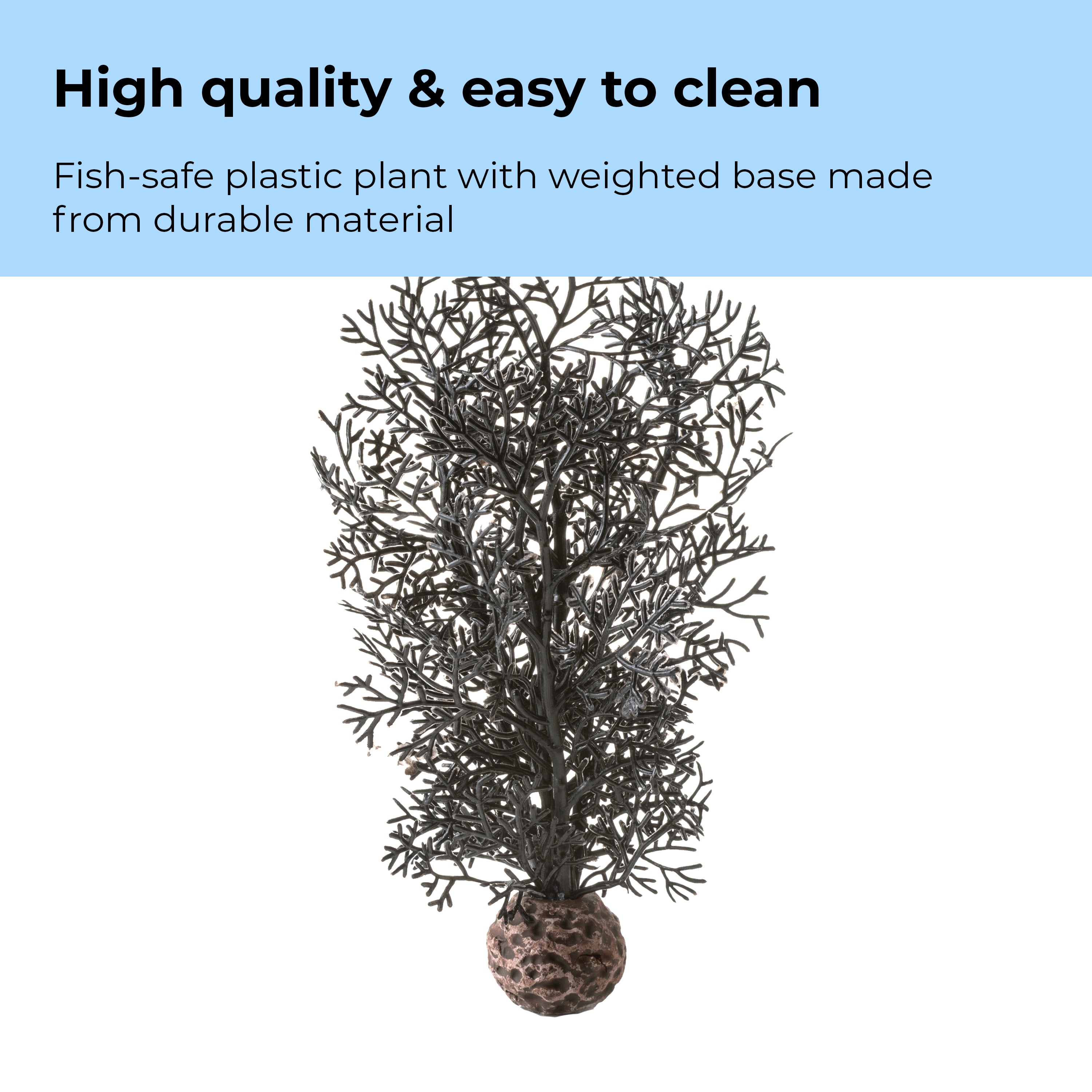 Small Sea Fan - High quality & easy to clean