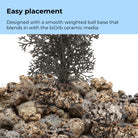 Small Sea Fan - Easy placement