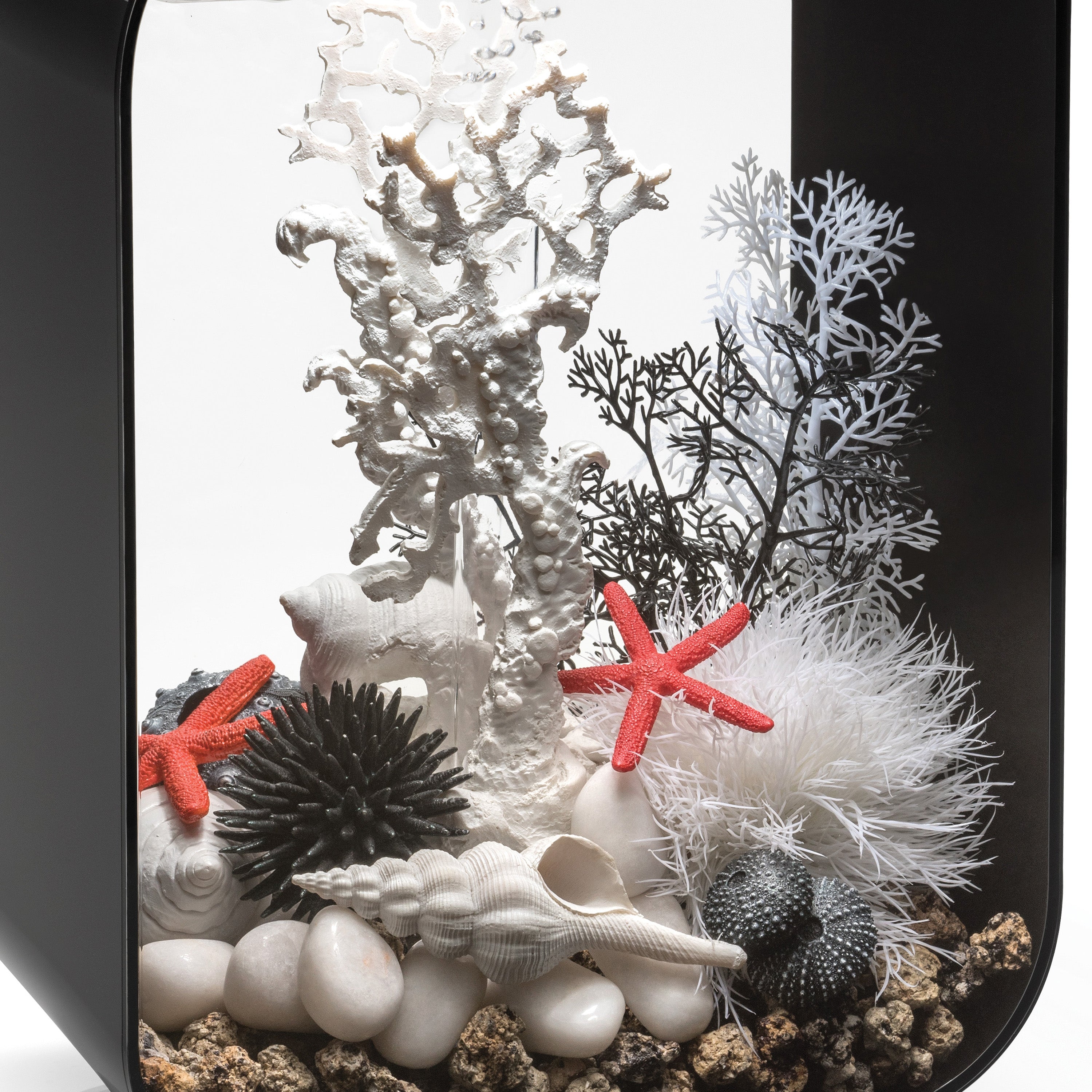 Small Sea Fan - Black In use