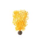 Small Sea Fan - Orange