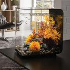 Small Sea Fan - Orange In use
