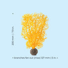 Small Sea Fan - Dimensions