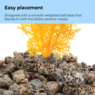 Small Sea Fan - Easy placement