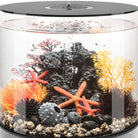 Small Sea Fan - Orange In use