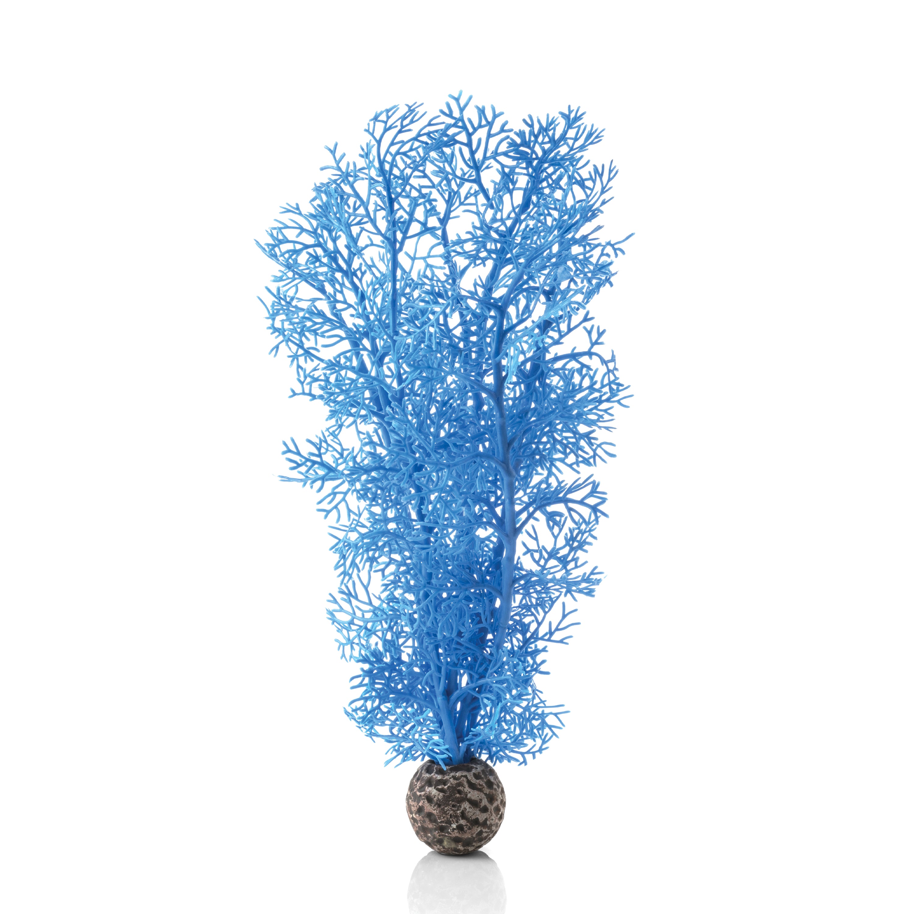 Medium Sea Fan - Blue