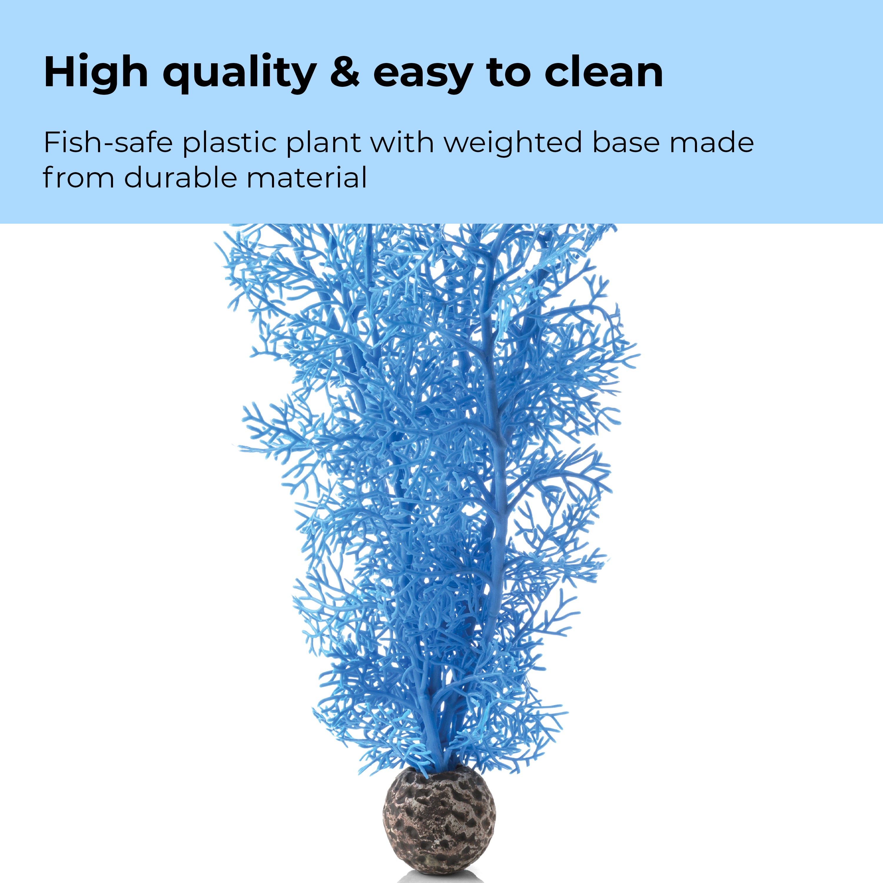 Medium Sea Fan - High quality & easy to clean