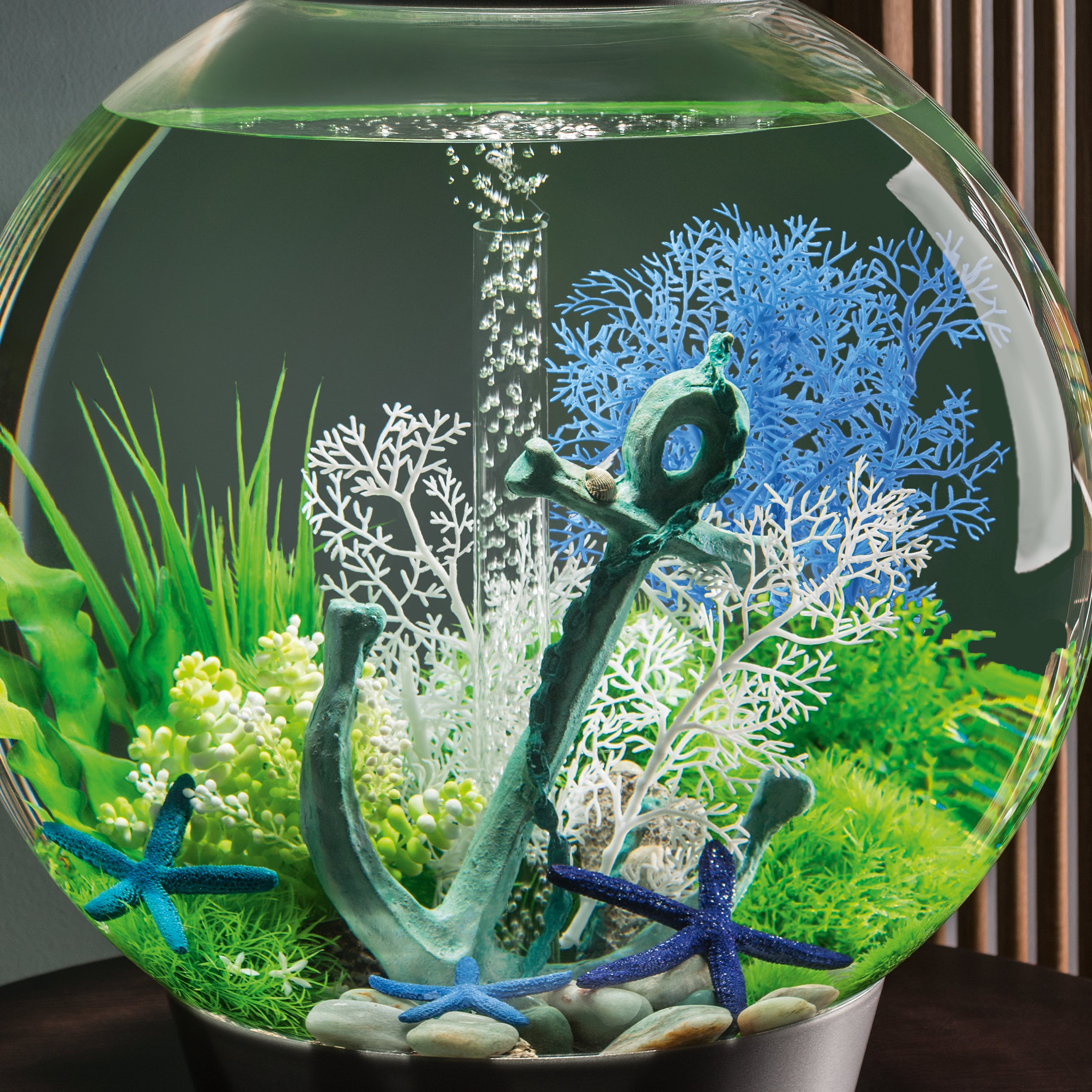 Medium Sea Fan - Blue In use