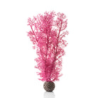 Medium Sea Fan - Pink