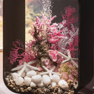 Medium Sea Fan - Pink In use