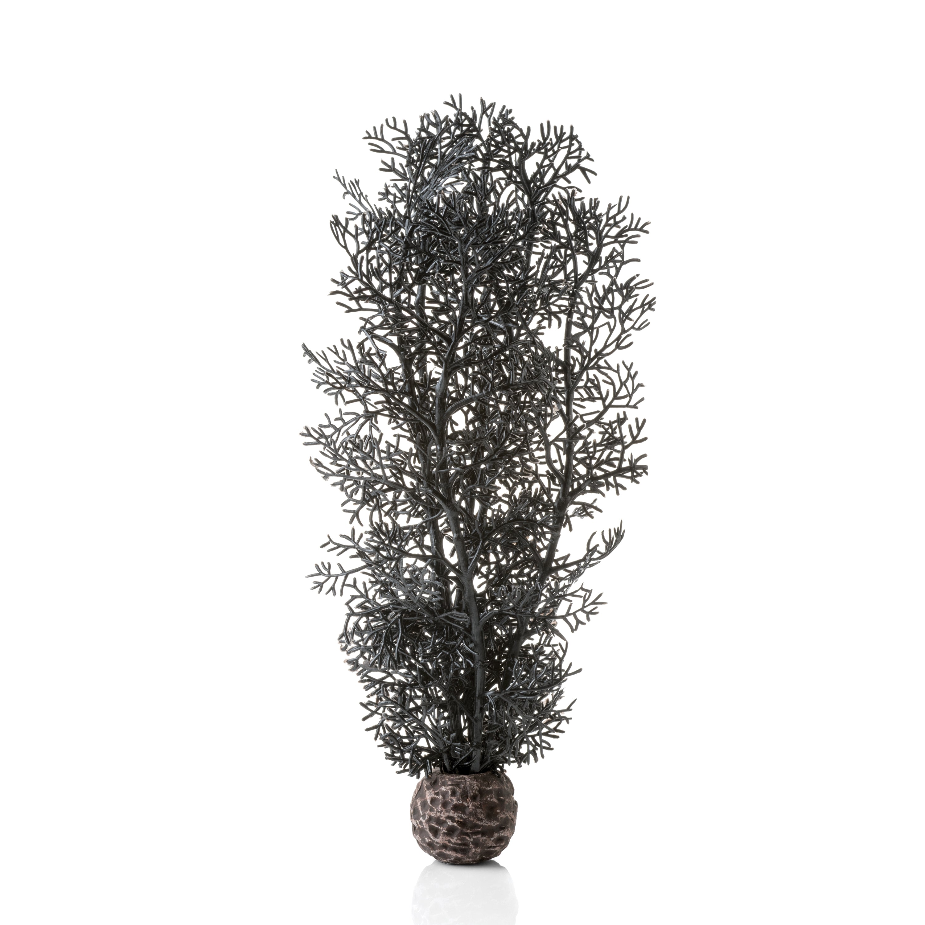 Medium Sea Fan - Black