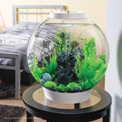 Medium Sea Fan - Black In use
