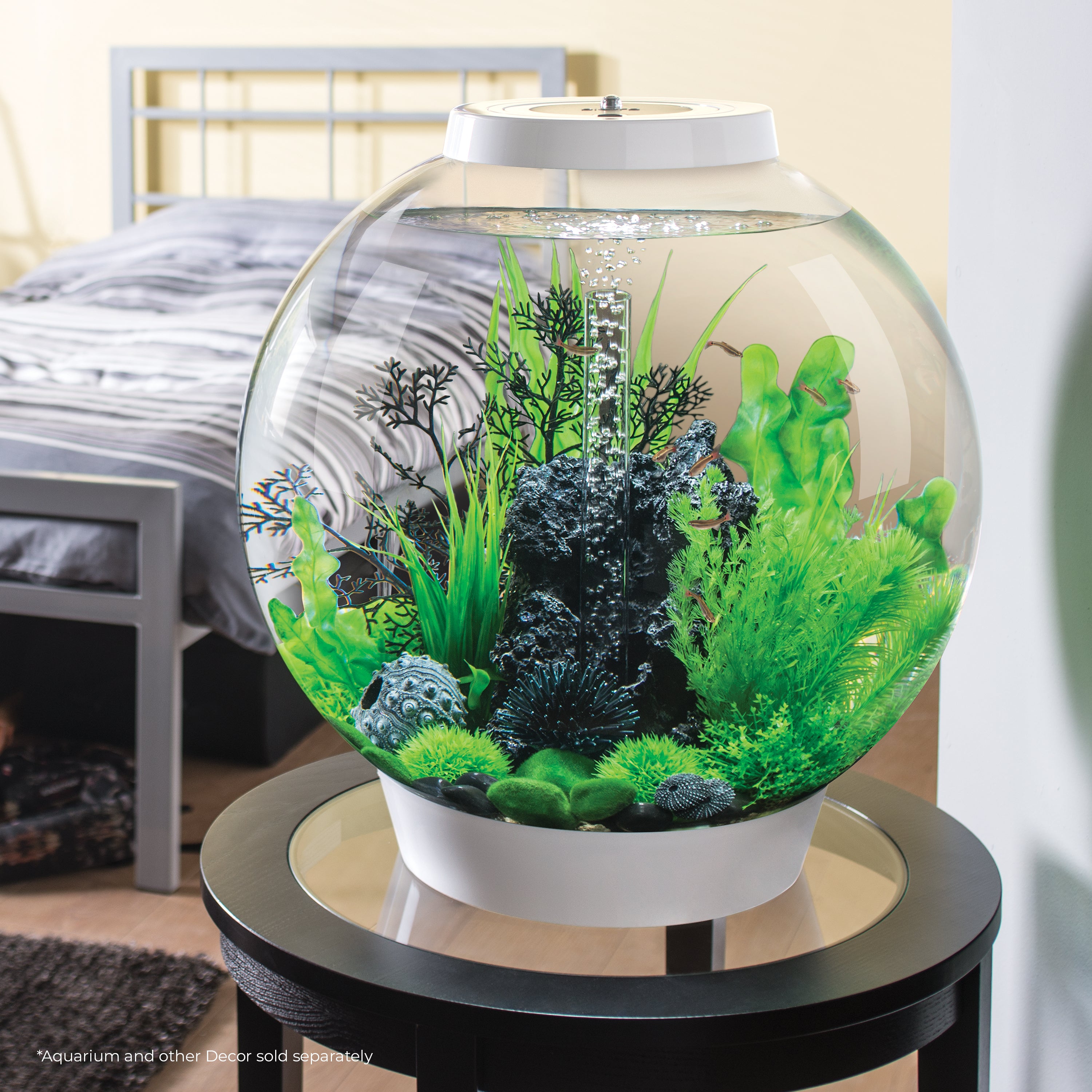 Medium Sea Fan - Black In use