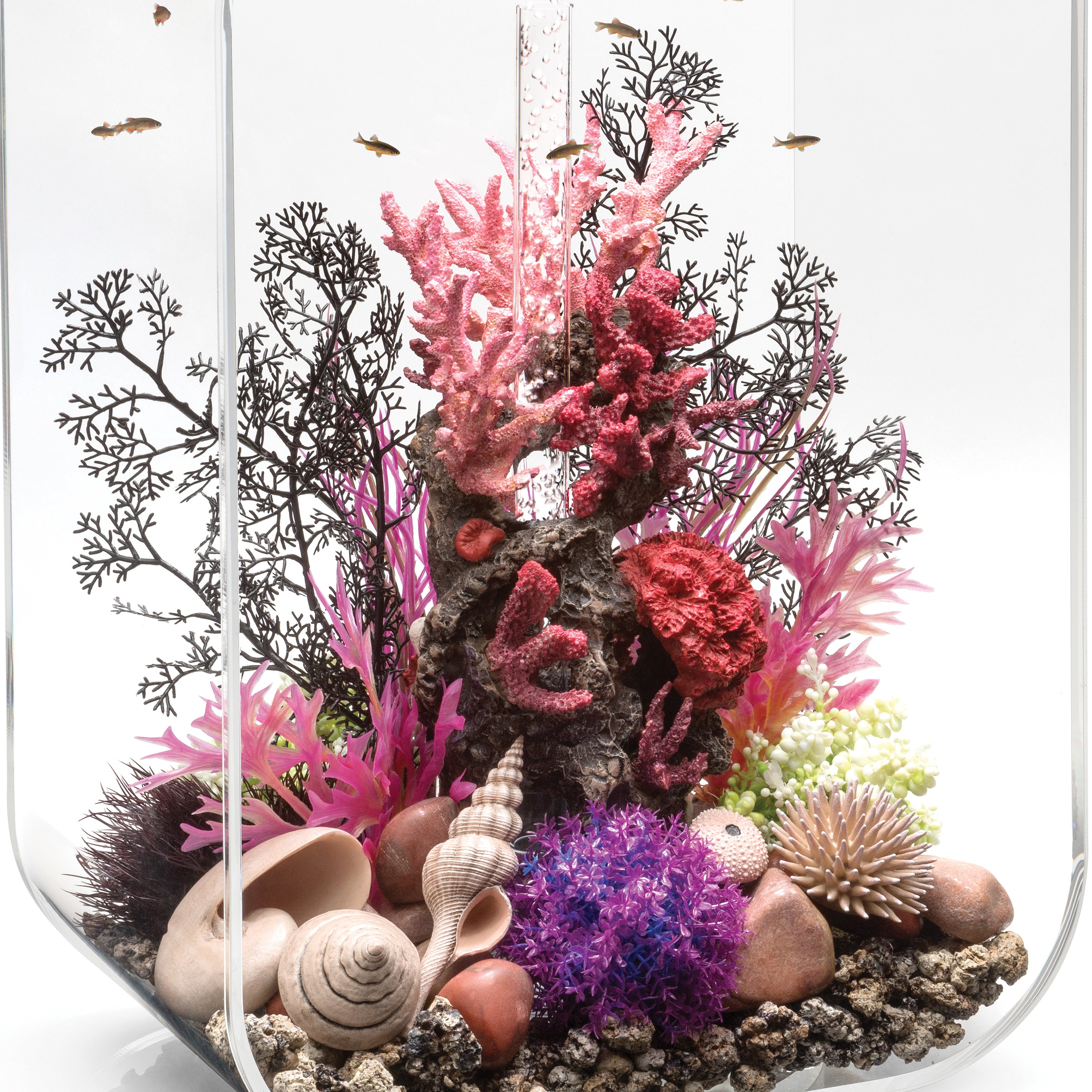 Medium Sea Fan - Black In use